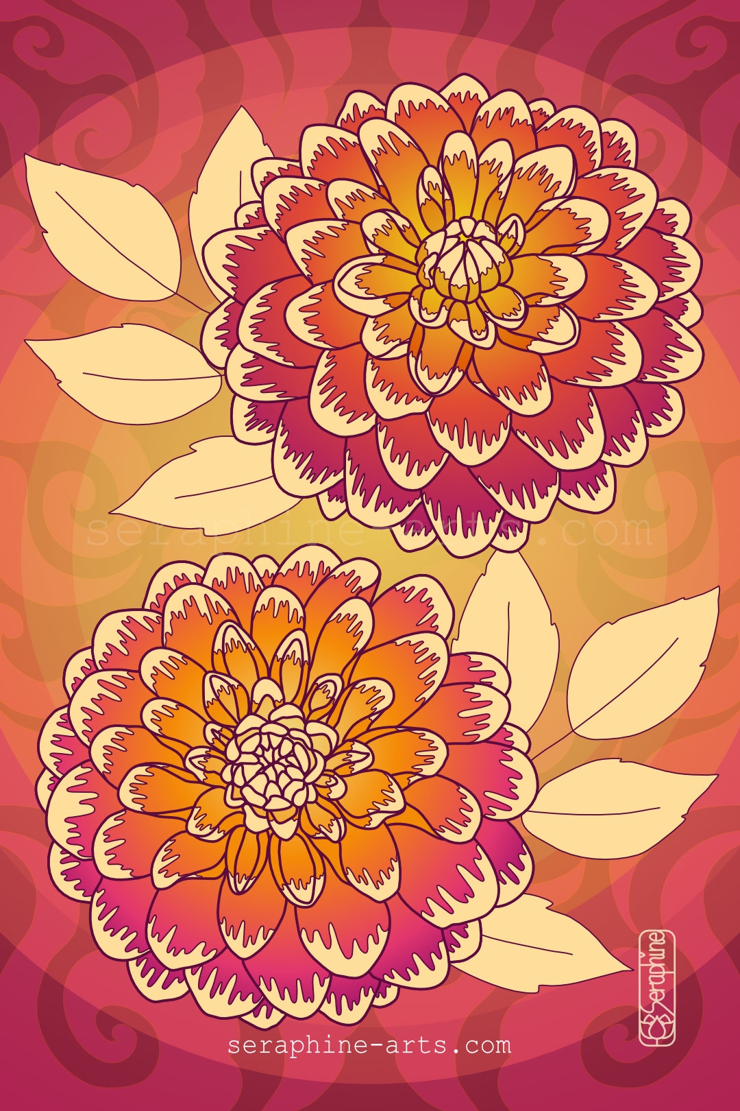 images/dahlia-flowers.jpg