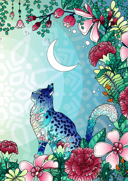 images/reflection-cat-moon-illustration.png