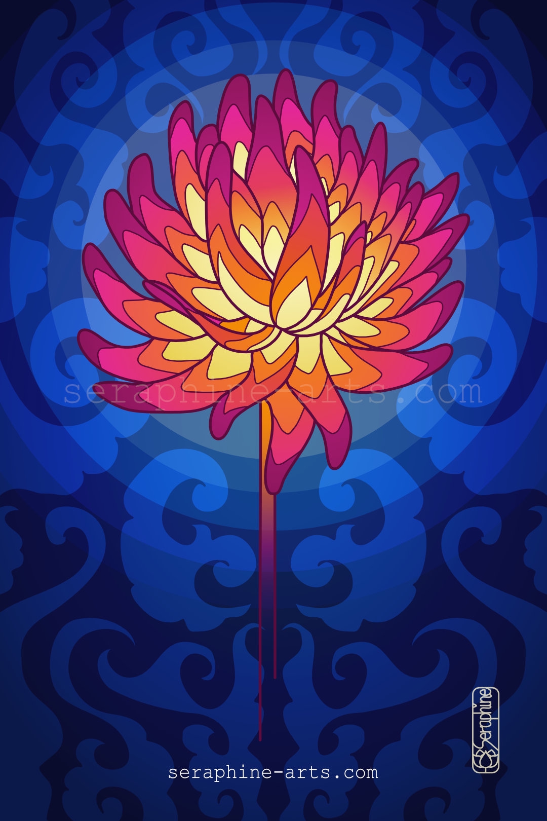 images/chrysanthemum-flower.jpg