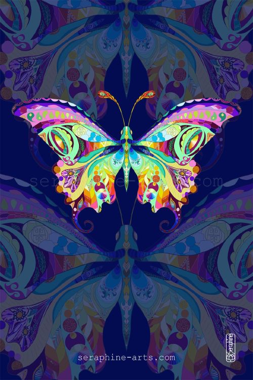 images/colouful-butterfly.jpg